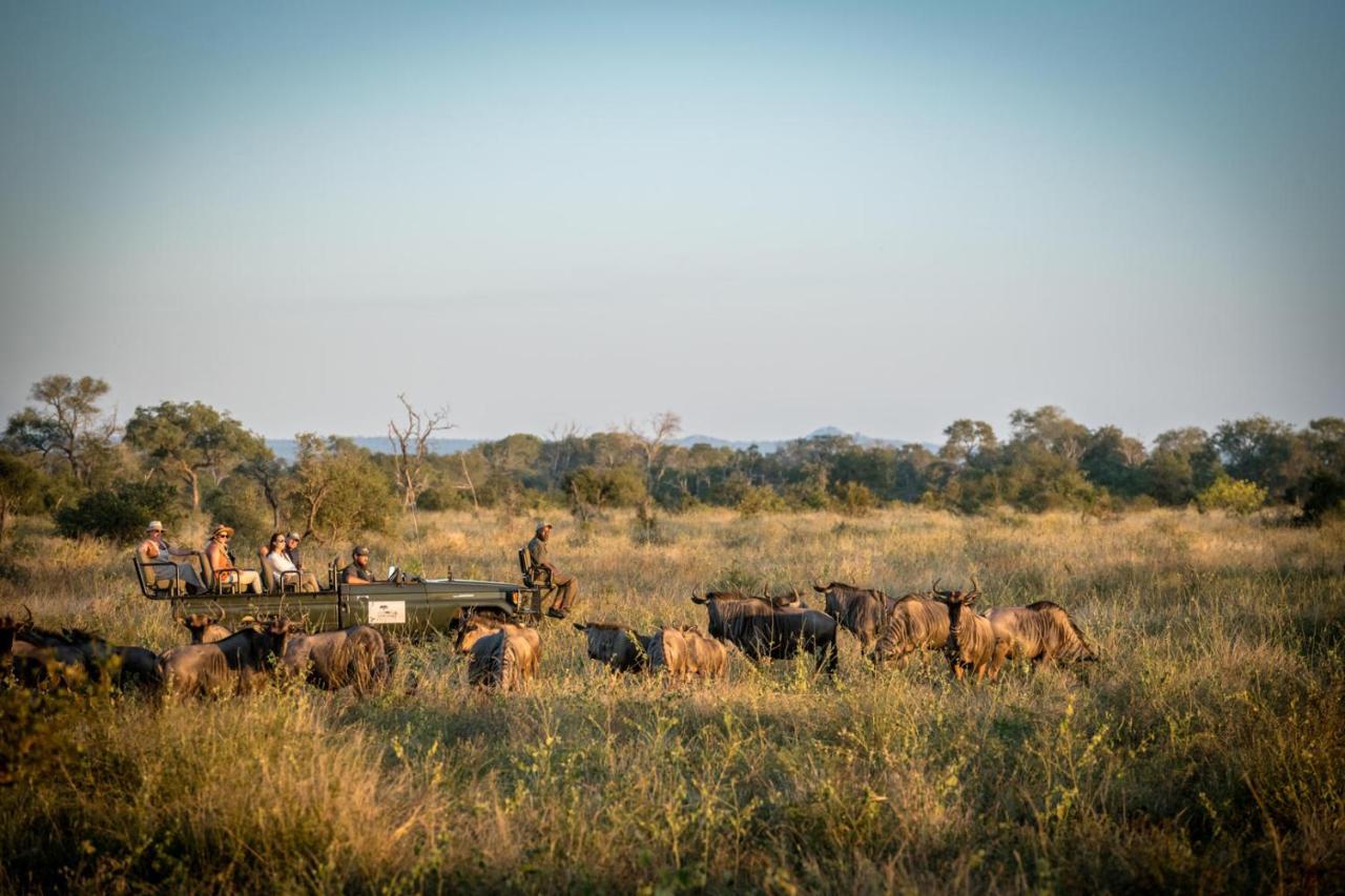 Umkumbe Bush Lodge - Luxury Tented Camp Sabi Sand Game Reserve Eksteriør bilde