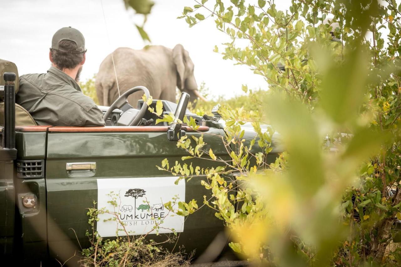 Umkumbe Bush Lodge - Luxury Tented Camp Sabi Sand Game Reserve Eksteriør bilde