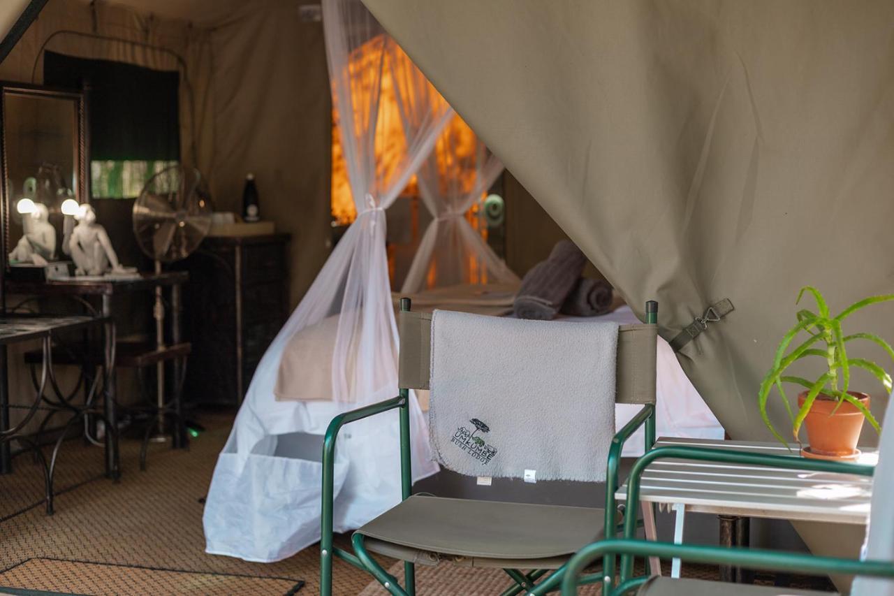 Umkumbe Bush Lodge - Luxury Tented Camp Sabi Sand Game Reserve Eksteriør bilde